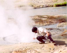 The collection's logo