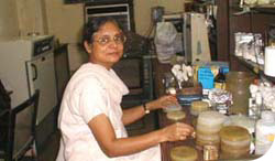 The collection's logo