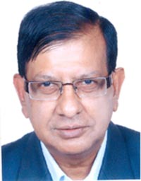 The collection's logo