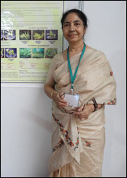 The collection's logo