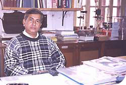 The collection's logo