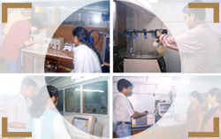 The collection's logo