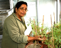 The collection's logo