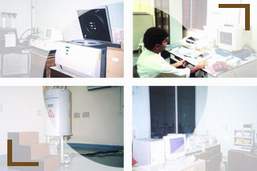 The collection's logo